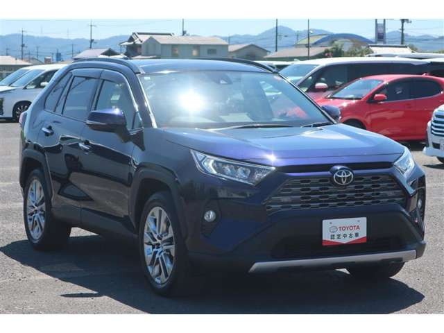 RAV4