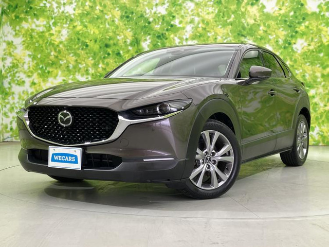 CX-301.8 XD Lパッケージ