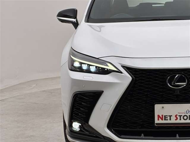 NX