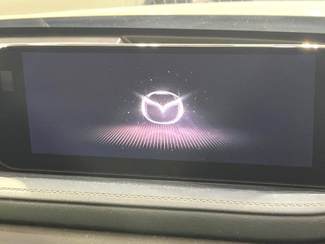 CX-302.0 20S プロアクティブ