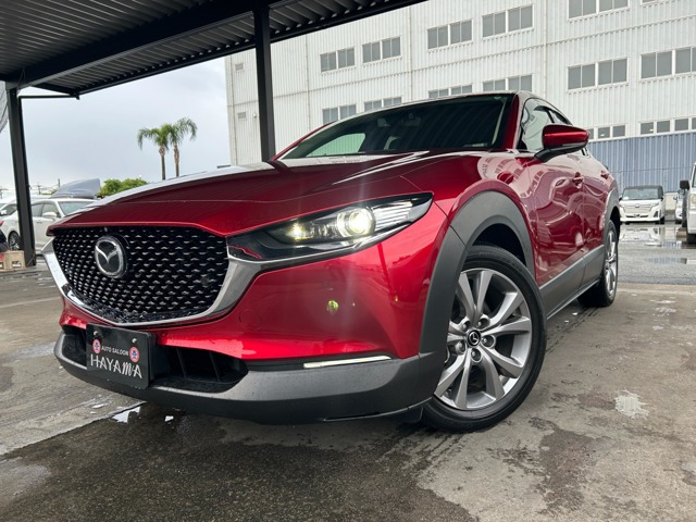 CX-301.8 XD Lパッケージ