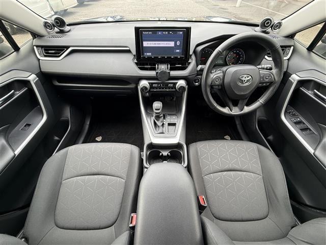RAV42.0 X
