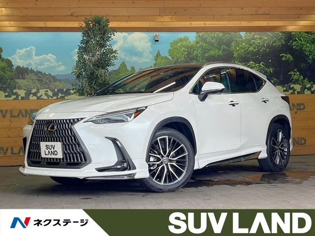 NX250 バージョンL