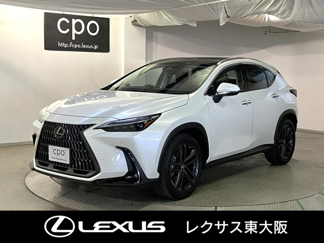 NX350h バージョンL