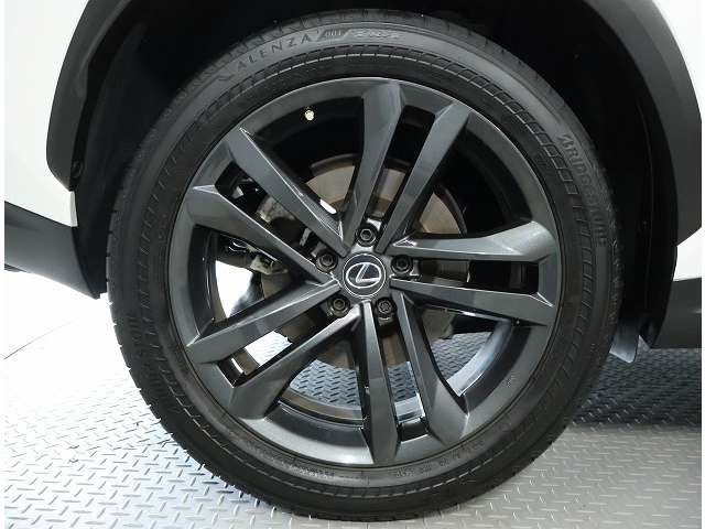 NX250 バージョンL 4WD