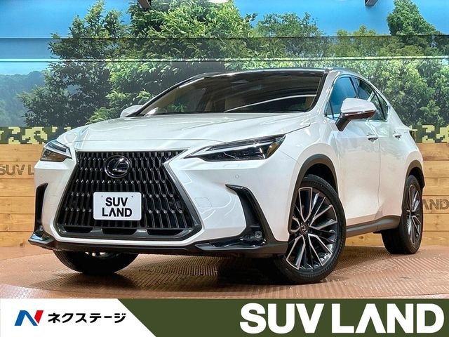 NX350h バージョンL