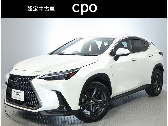 NX250 バージョンL 4WD