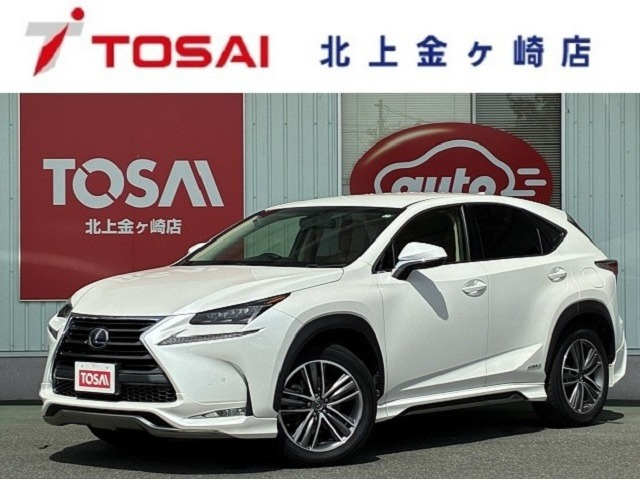 NX300h Iパッケージ 4WD