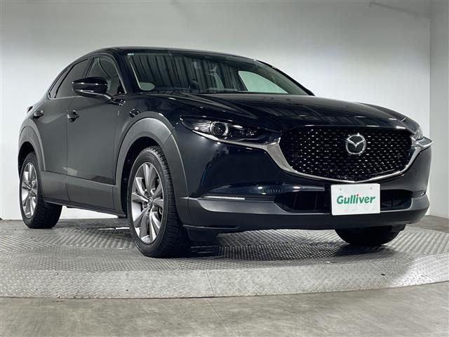 CX-302.0 20S プロアクティブ