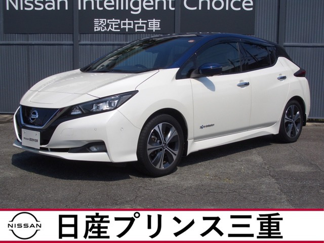 リーフG