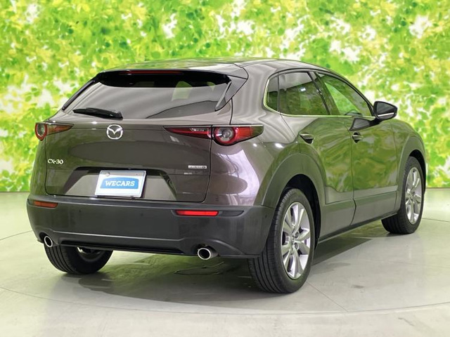 CX-301.8 XD Lパッケージ