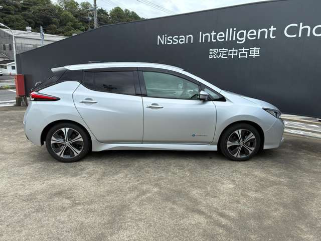 リーフG