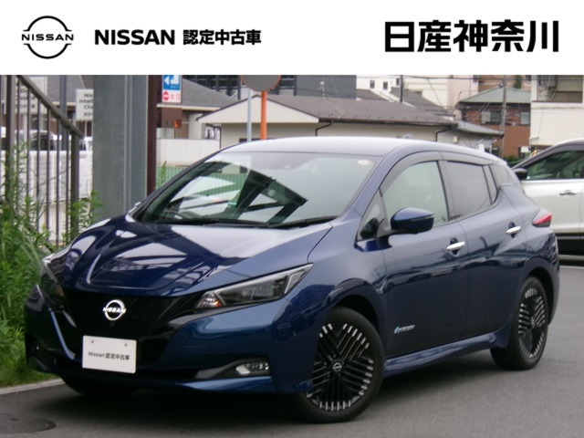 リーフG