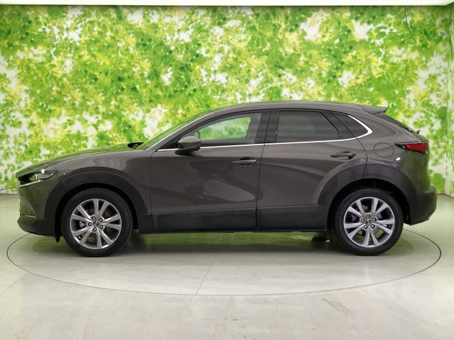 CX-301.8 XD Lパッケージ