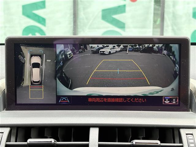 NX300h Fスポーツ