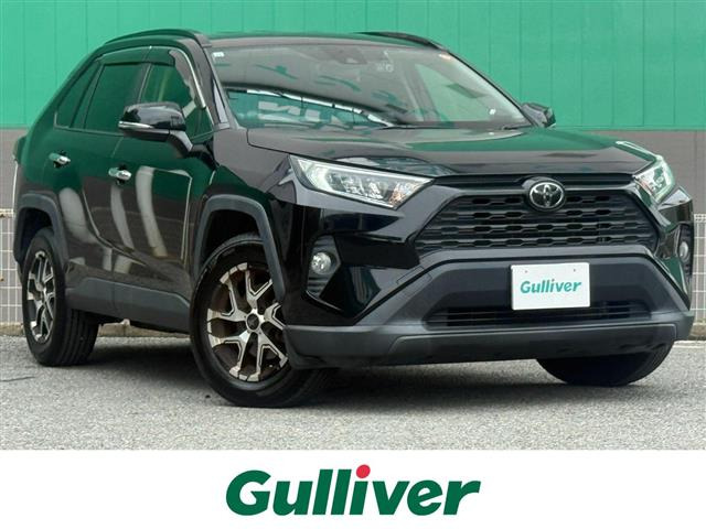 RAV42.0 X