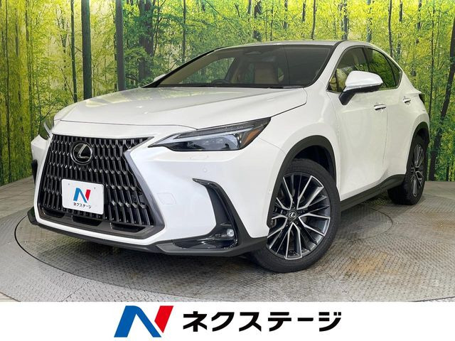 NX350h バージョンL