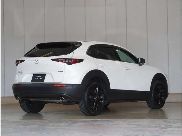 CX-30