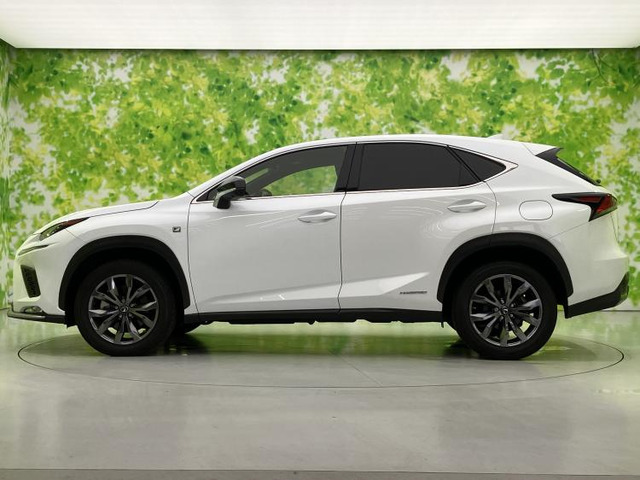 NX300h Fスポーツ