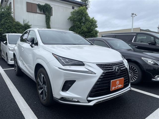 NX300 スパイス&シック