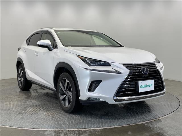 NX300h Iパッケージ