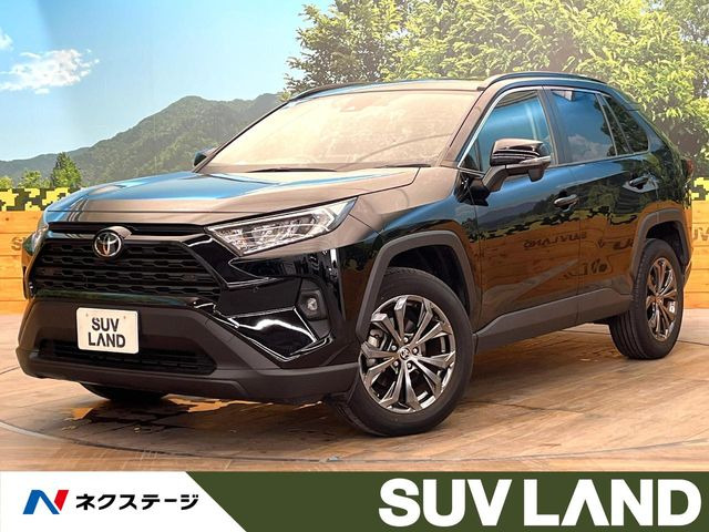 RAV42.0 X