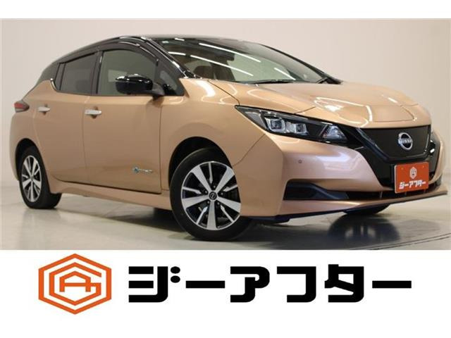 リーフe+ X
