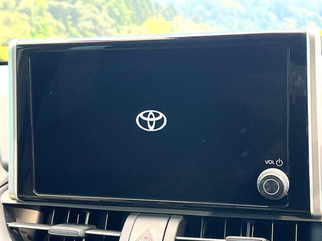 RAV42.0 X