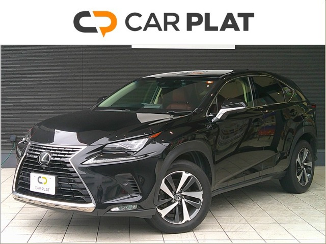 NX200t Iパッケージ