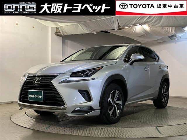 NX300 Iパッケージ
