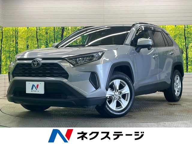 RAV42.0 X
