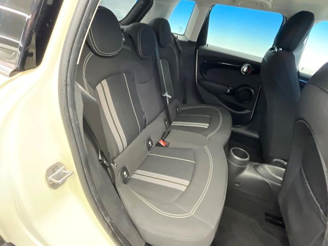 ���㕔���Ȃ��C�ɂȂ�悤�ȃL�Y�E�����ւ��蓙�A�傫�ȃ_���[�W�͂Ȃ��A�ǍD�ȏ�Ԃł��B