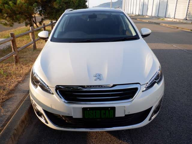 308SWアリュール