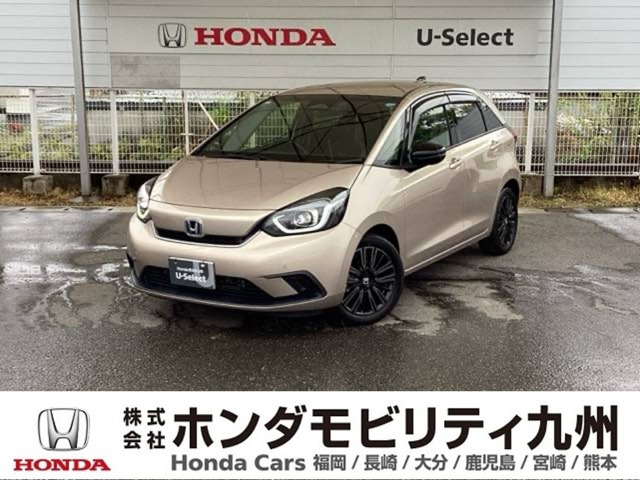 フィット