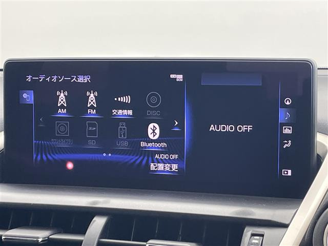 NX300h クール&amp;ブライト