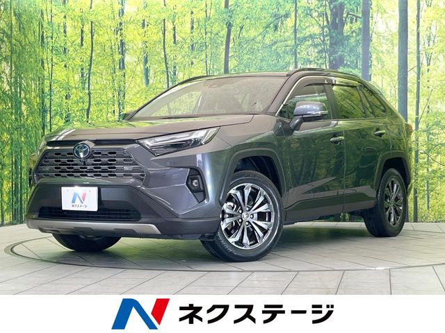 RAV42.5 ハイブリッド G E-Four 4WD