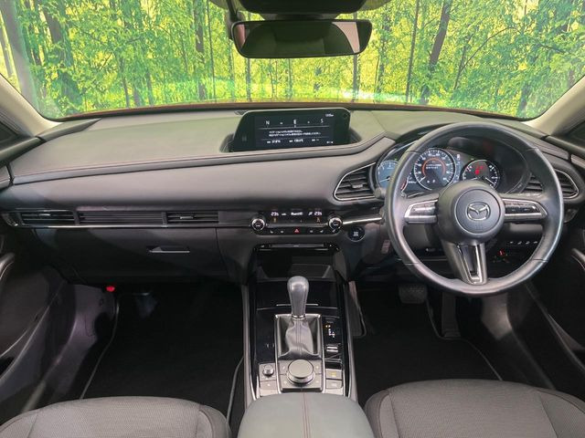 CX-302.0 20S ブラックトーンエディション