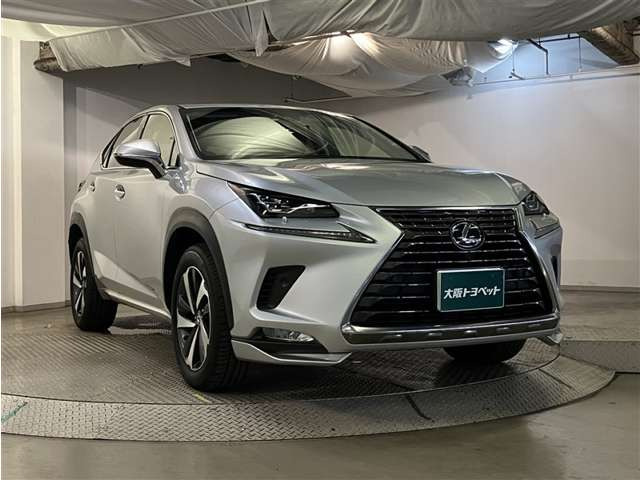 NX300 Iパッケージ