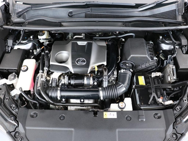 NX200t Iパッケージ 4WD