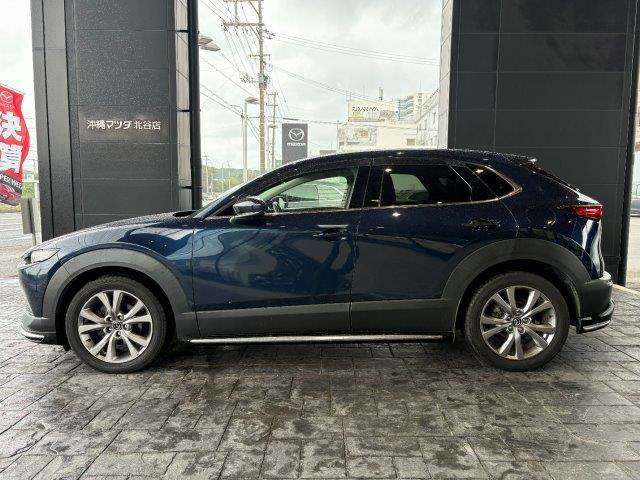 CX-30