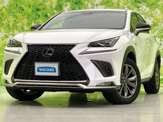 NX300h Fスポーツ