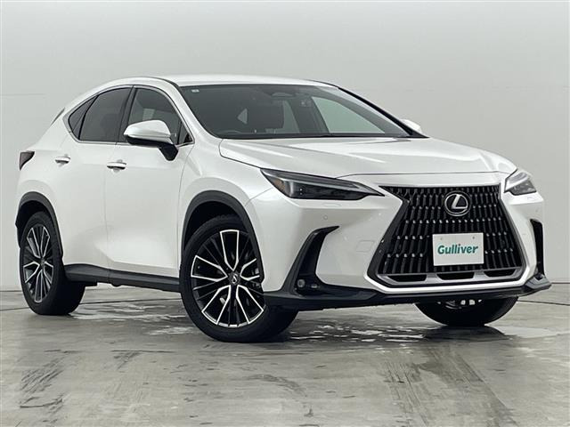 NX350h バージョンL