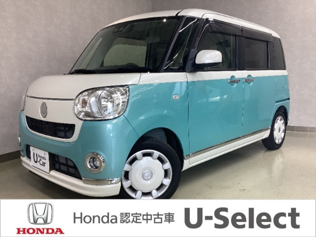ムーヴキャンバスG メイクアップ SAIII