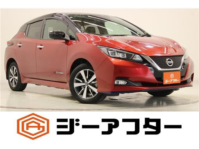 リーフe+ X