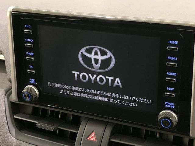RAV42.0 X