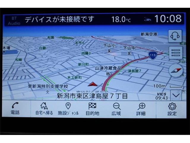 リーフe+ X