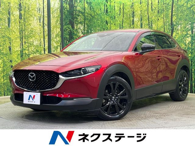 CX-302.0 20S ブラックトーンエディション