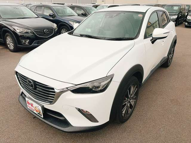�y39.8���X�J�[�Y�̎��q���������������A���ɂ��肪�Ƃ��������܂��B���������q�s�Ö�368-1