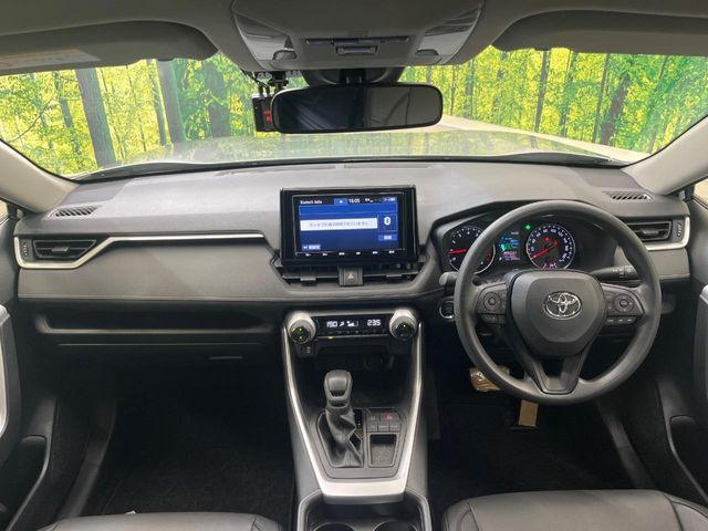RAV42.0 X