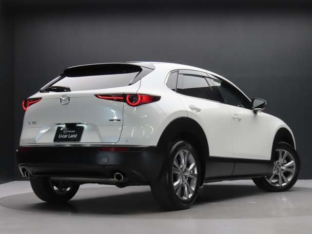 CX-301.8 XD プロアクティブ ツーリングセレクション
